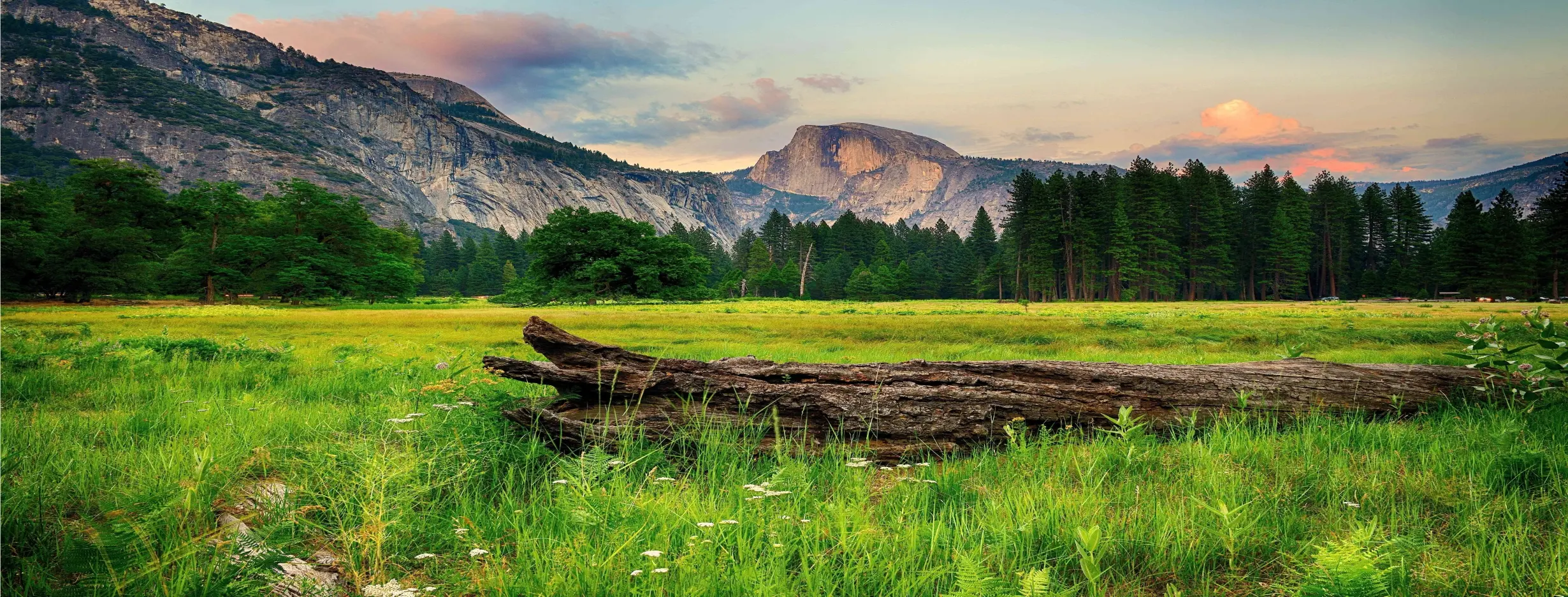Image for Nature Photography